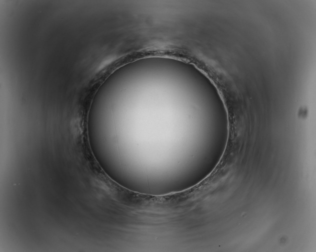 X0000103301206200808291357