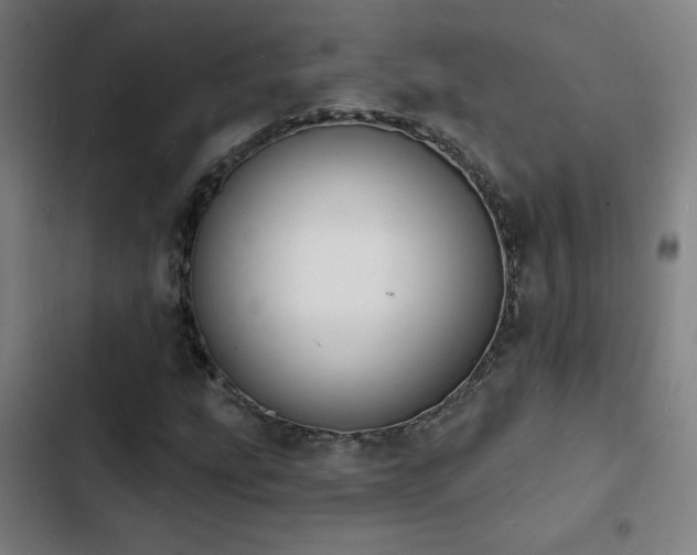 X0000103301207200808291357