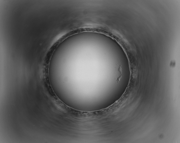 X0000103301208200808291357