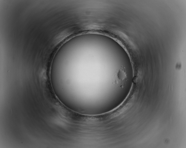 X0000103301209200808291357