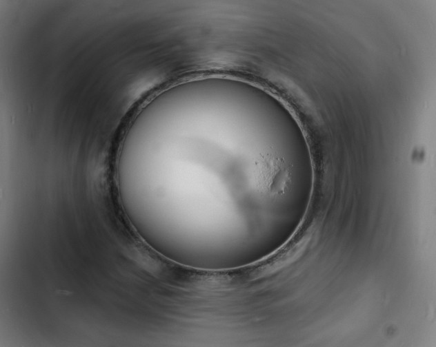 X0000103301210200808291357