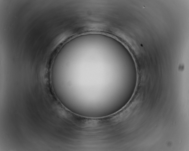 X0000103301211200808291357