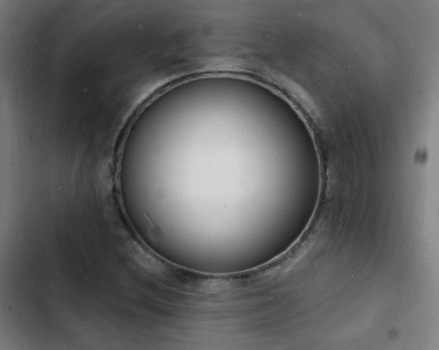 X0000103301212200808291357