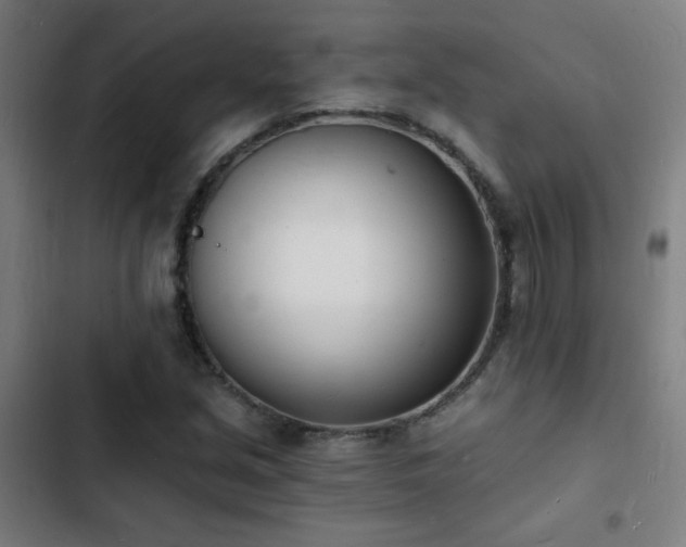 X0000103301213200808291357