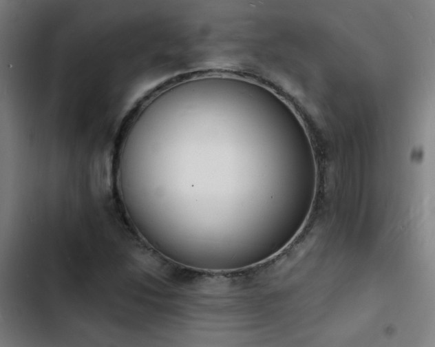 X0000103301214200808291357