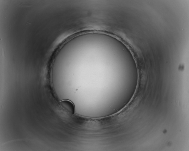 X0000103301215200808291357