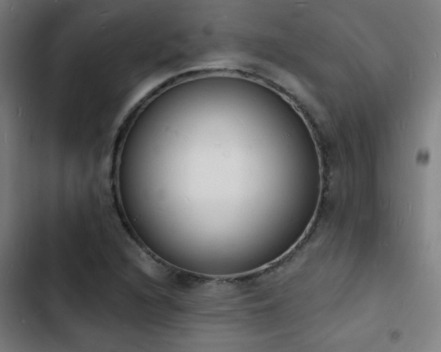 X0000103301216200808291357