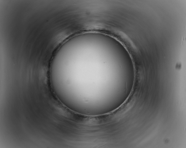 X0000103301217200808291357