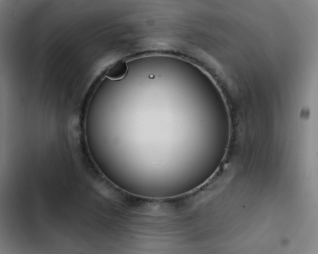 X0000103301218200808291357
