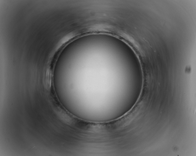 X0000103301219200808291357
