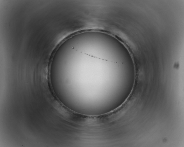 X0000103301220200808291357