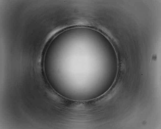 X0000103301222200808291357