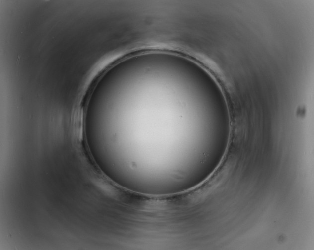 X0000103301223200808291357
