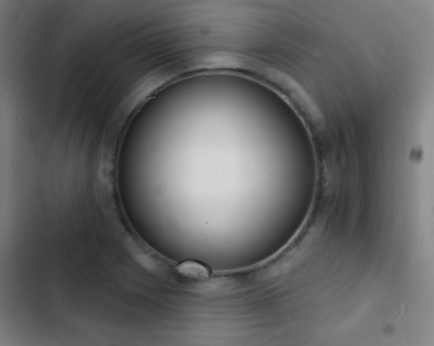 X0000103301225200808291357