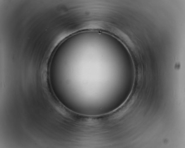 X0000103301226200808291357