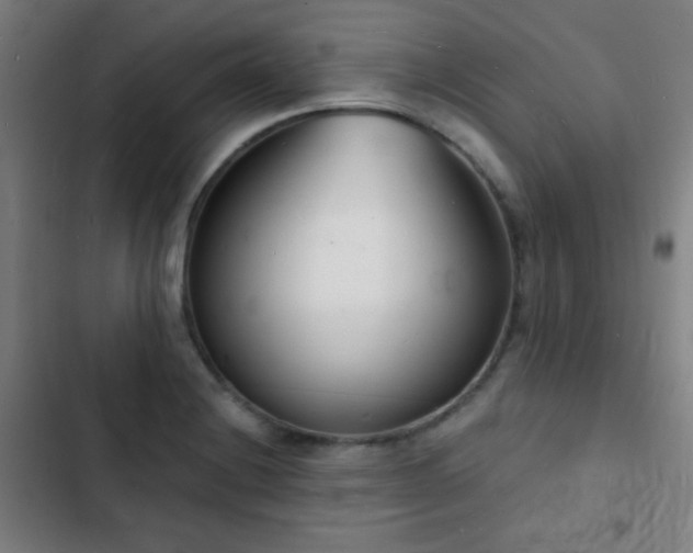 X0000103301228200808291357