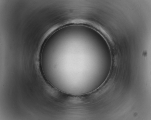 X0000103301229200808291357