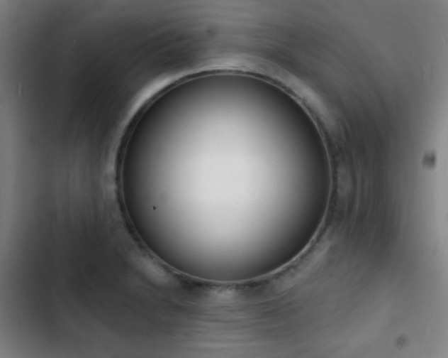 X0000103301230200808291357