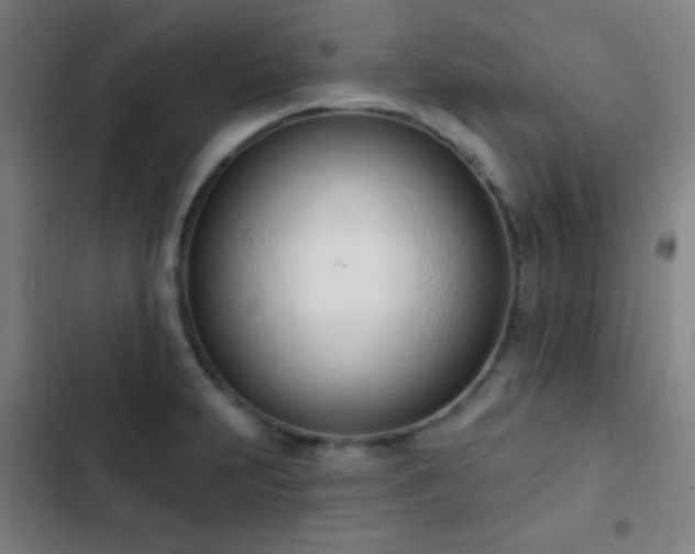 X0000103301231200808291357