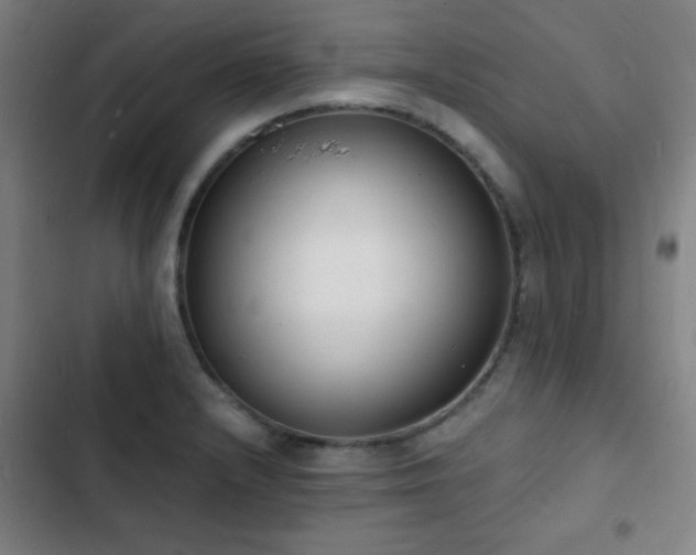 X0000103301232200808291357