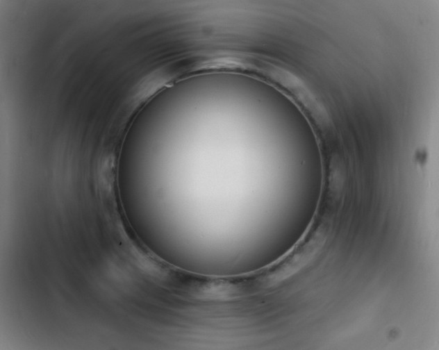 X0000103301233200808291357