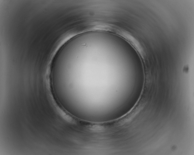 X0000103301235200808291357