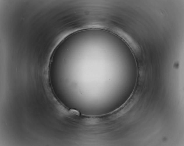 X0000103301236200808291357