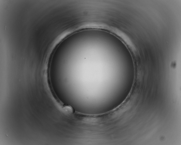 X0000103301237200808291358