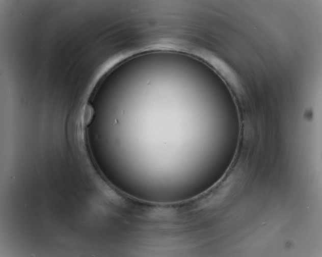 X0000103301238200808291358
