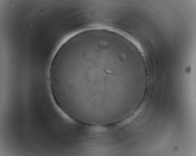 X0000103301239200808291358