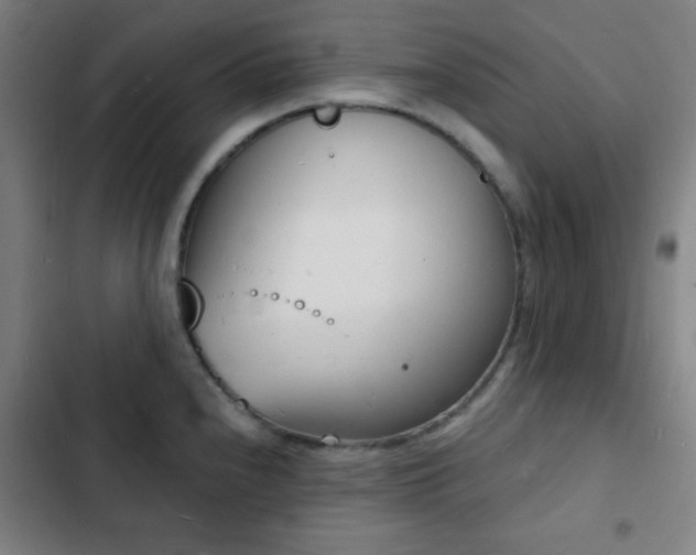 X0000103301240200808291358