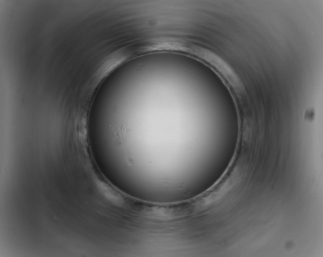 X0000103301241200808291358