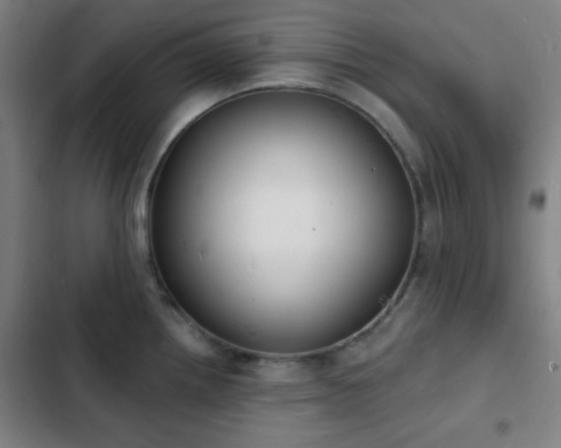 X0000103301242200808291358