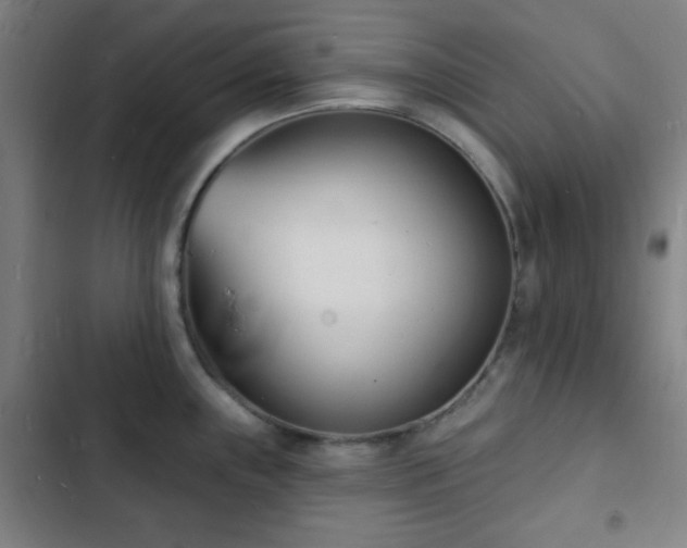 X0000103301243200808291358
