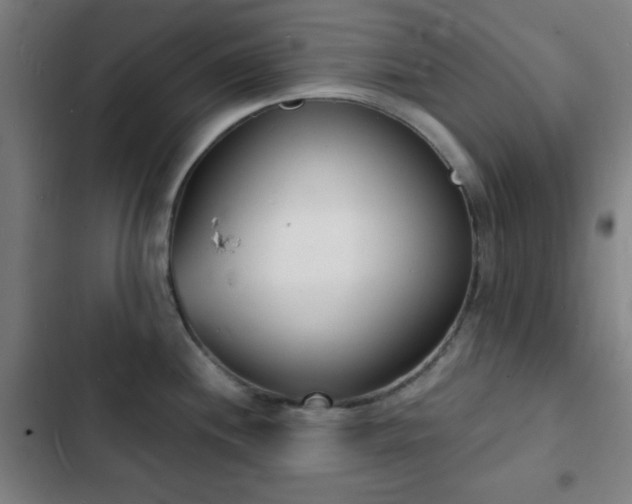 X0000103301244200808291358