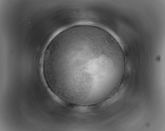 X0000103301245200808291358
