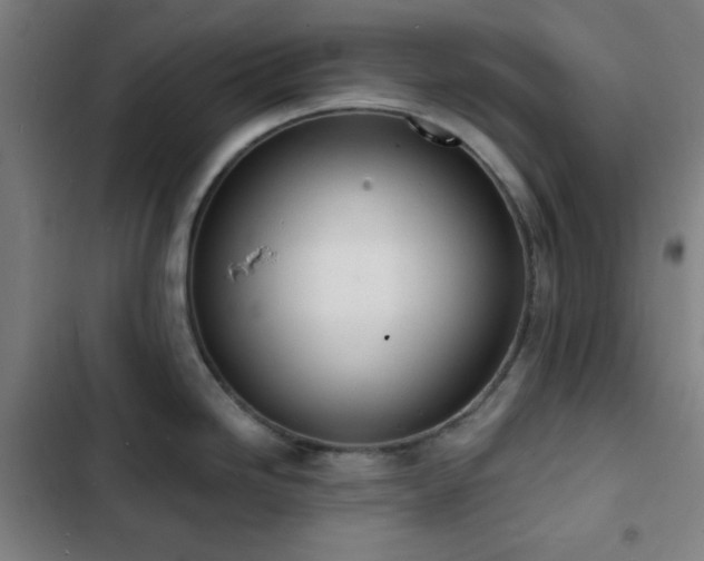 X0000103301246200808291358