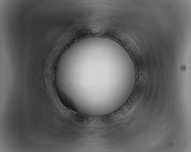 X0000103301249200808291357