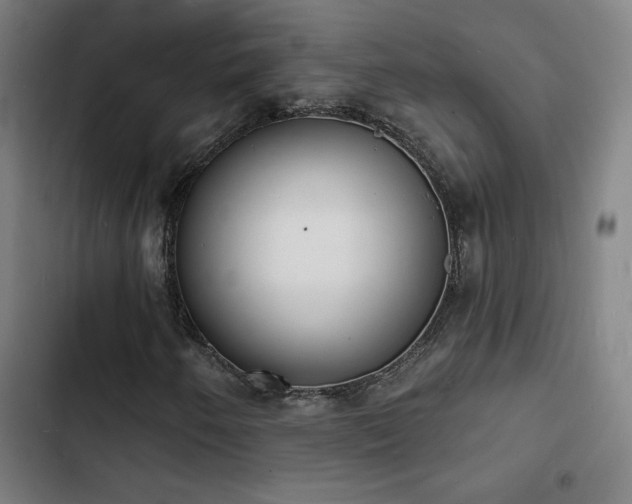 X0000103301250200808291357