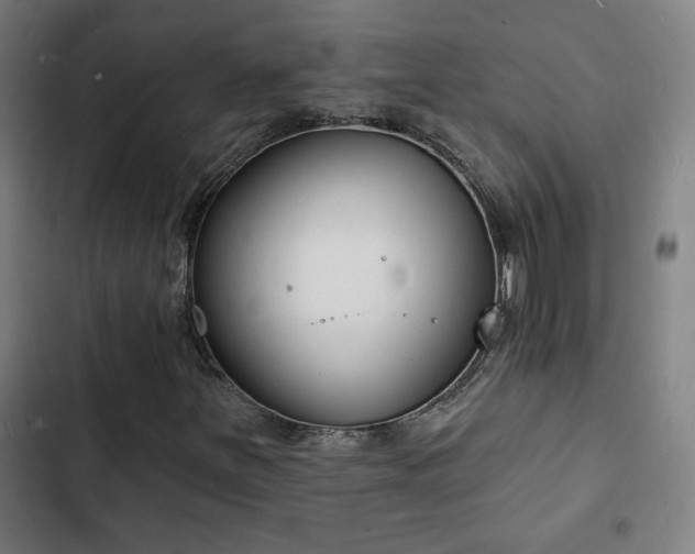 X0000103301251200808291357