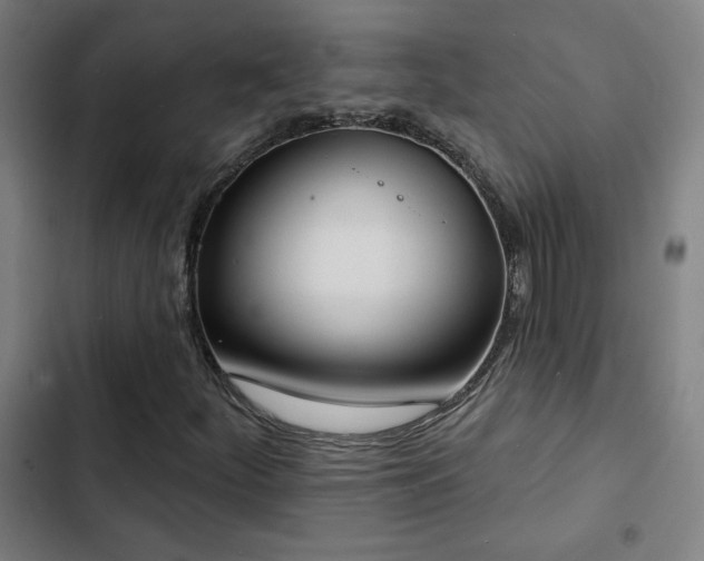 X0000103301252200808291357