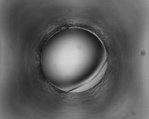 X0000103301253200808291357
