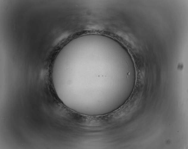 X0000103301254200808291357
