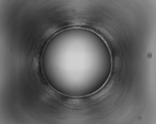 X0000103301257200808291357
