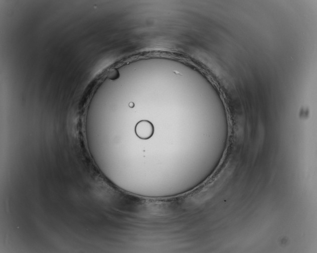 X0000103301258200808291357