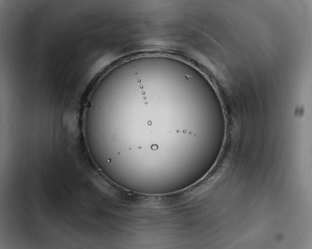 X0000103301259200808291357