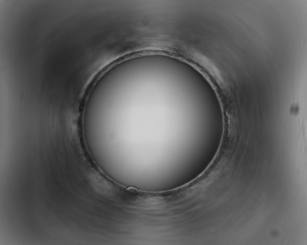 X0000103301260200808291357