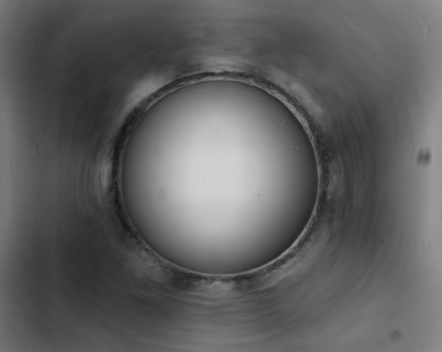 X0000103301261200808291357