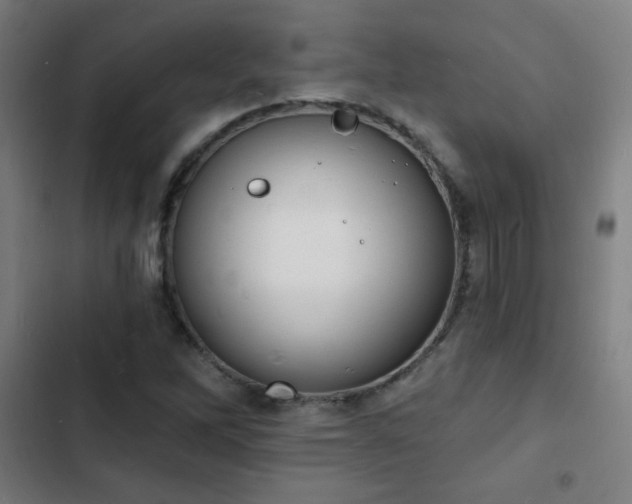 X0000103301262200808291357