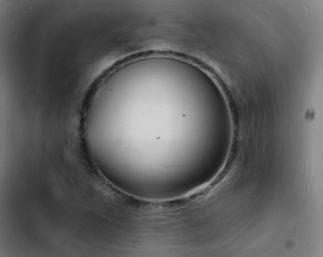 X0000103301263200808291357